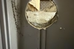 photo_15_2026-01-19_11-06-17