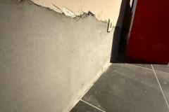 photo_1_2026-01-19_11-06-17