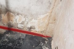 photo_70_2026-01-19_11-06-17